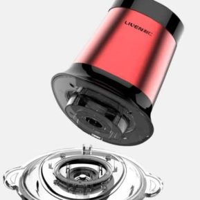 قیمت خردکن و غذاساز شیائومی مدل liven JRJ-GW300